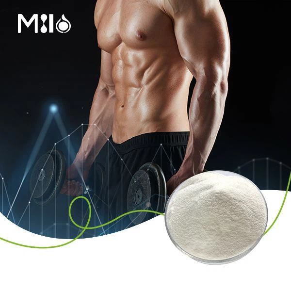 productcate-600-600 productcate-600-600
